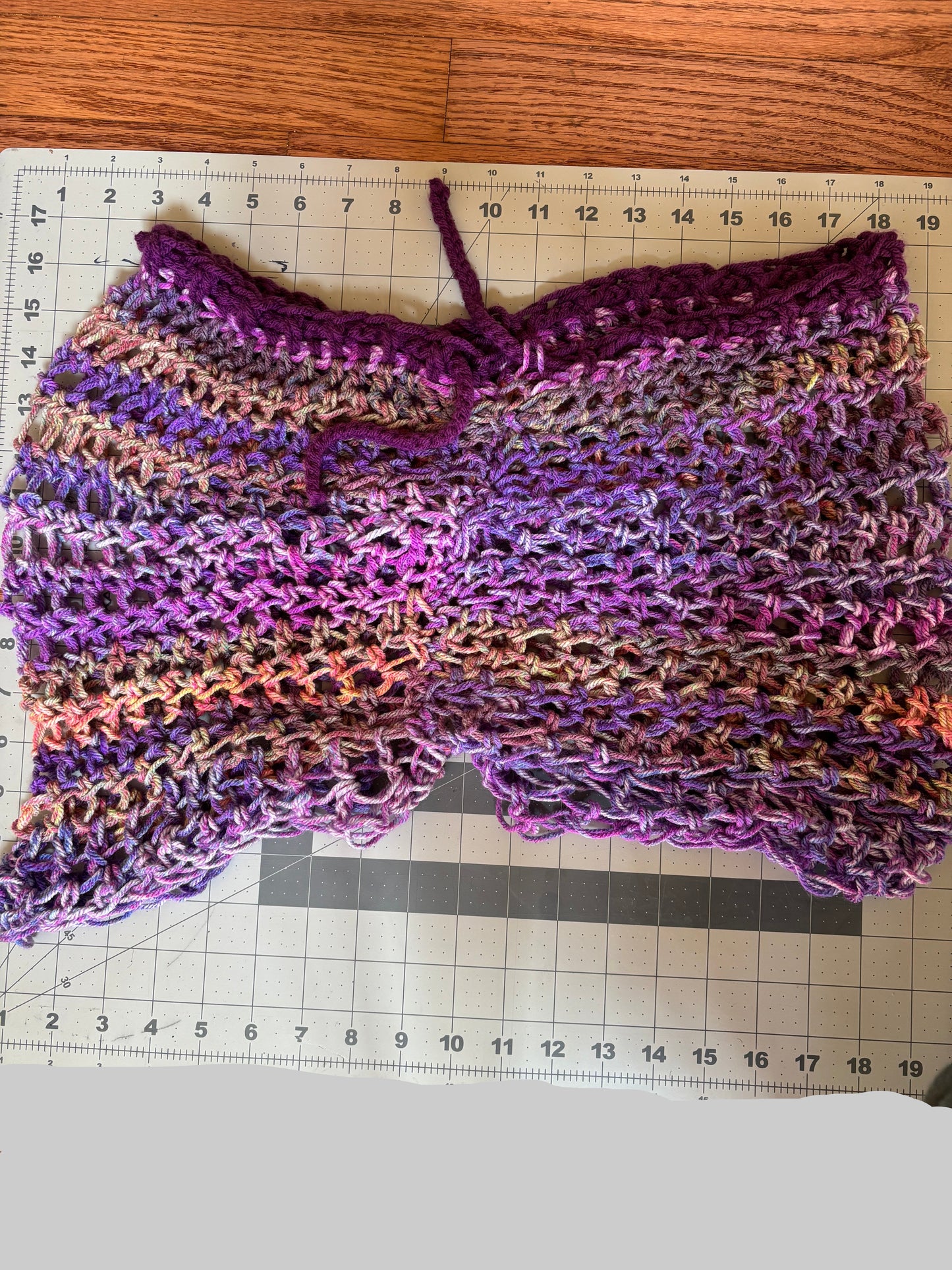 Purple Mesh Cover Up Shorts